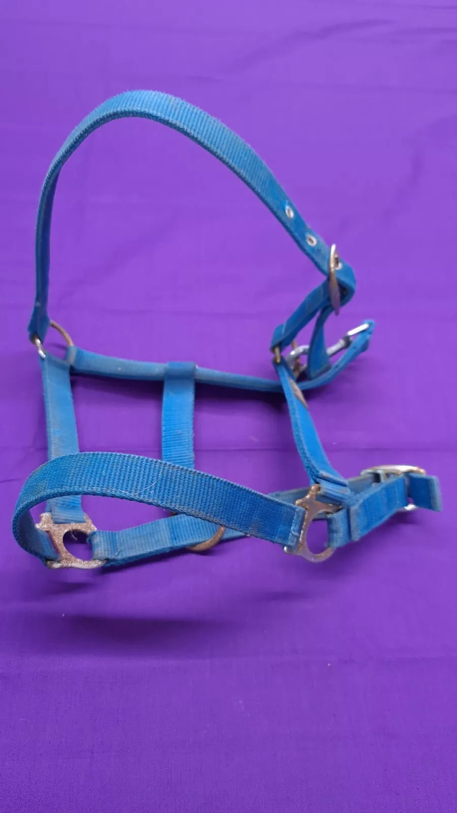 HY Turquoise Cob Size Horse Headcollar HC61