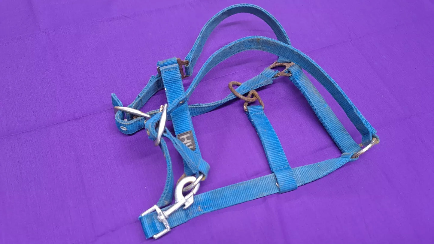 HY Turquoise Cob Size Horse Headcollar HC61