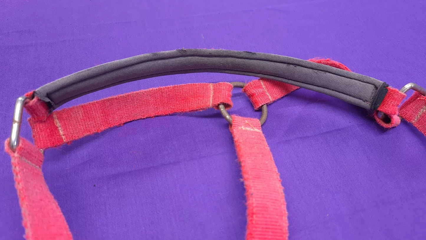 Red Full Size Horse Headcollar HC33