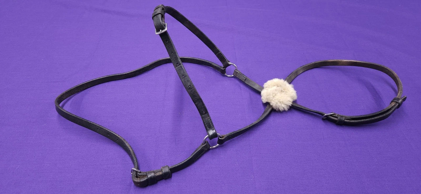 Full Size Black Horse Grackle Noseband BR421