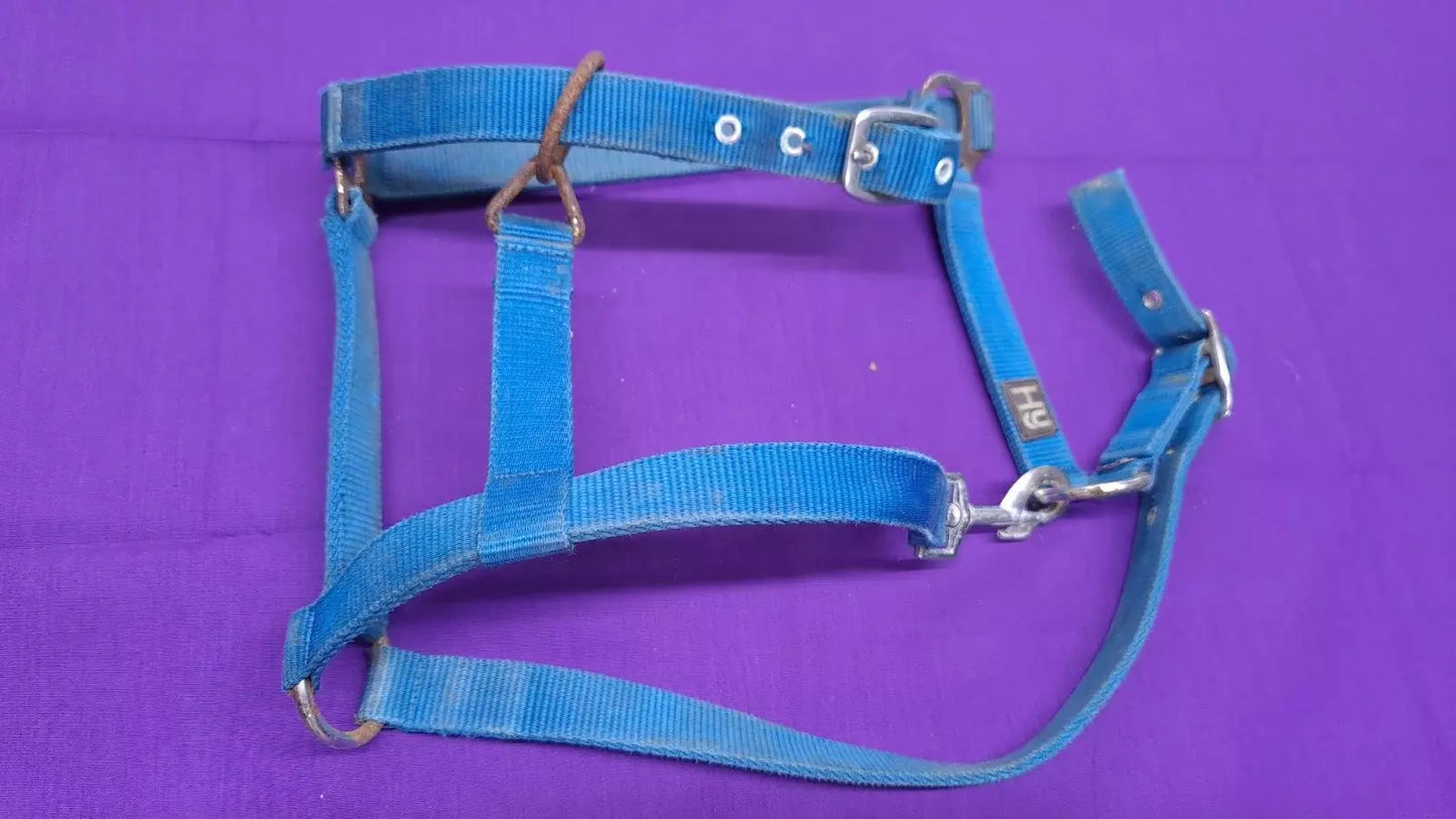 HY Turquoise Cob Size Horse Headcollar HC61