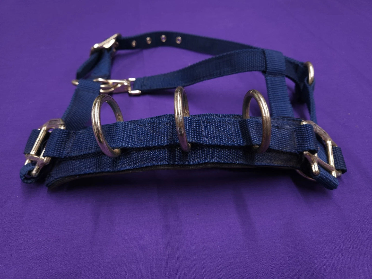 Shires Pony Size Navy Blue Lunging Cavesson Horse Headcollar HC88