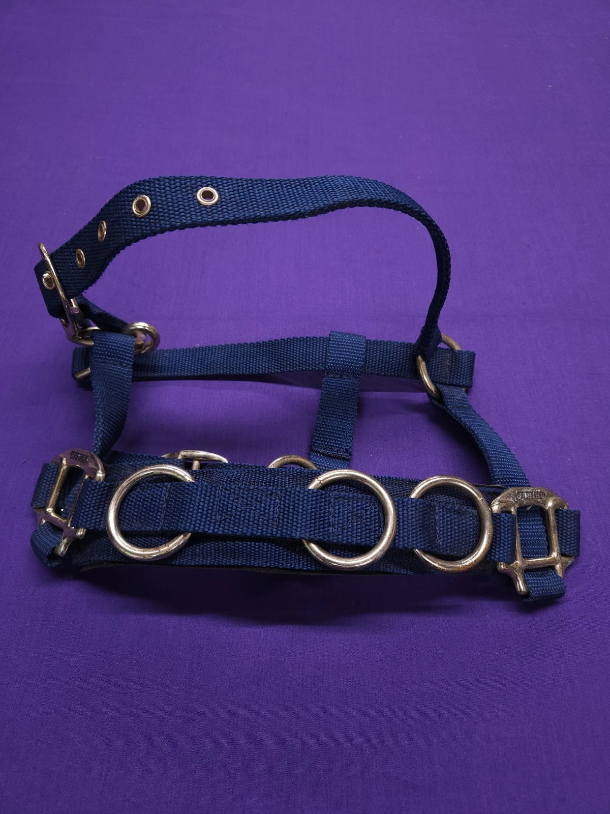 Shires Pony Size Navy Blue Lunging Cavesson Horse Headcollar HC88