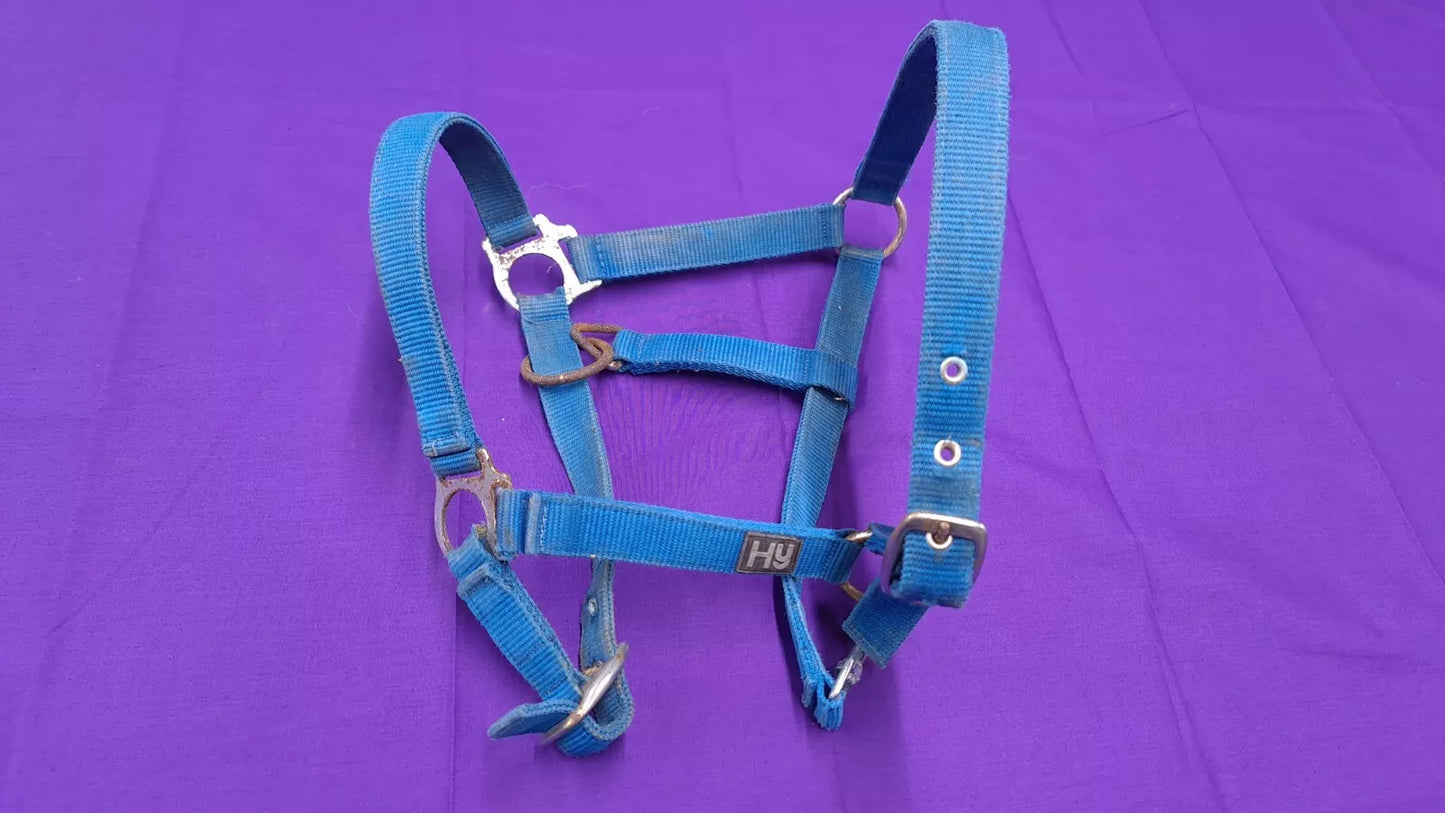 HY Turquoise Cob Size Horse Headcollar HC61