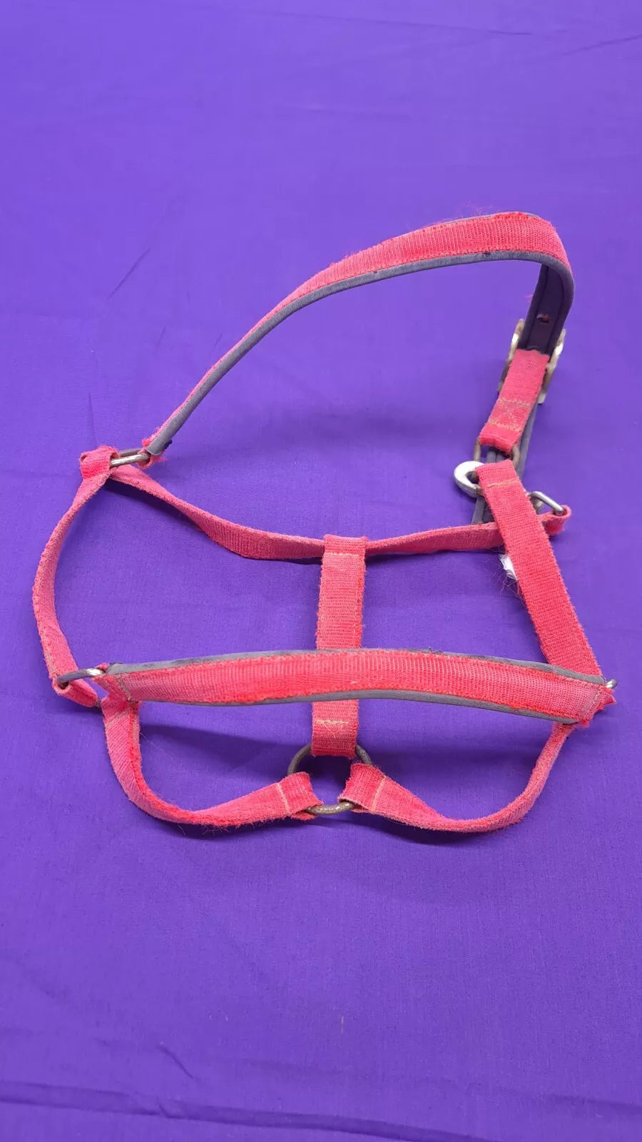 Red Full Size Horse Headcollar HC33