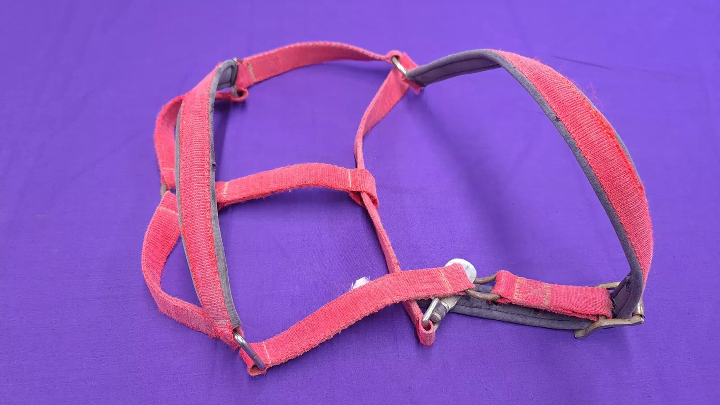 Red Full Size Horse Headcollar HC33