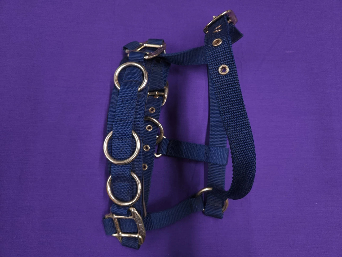 Shires Pony Size Navy Blue Lunging Cavesson Horse Headcollar HC88