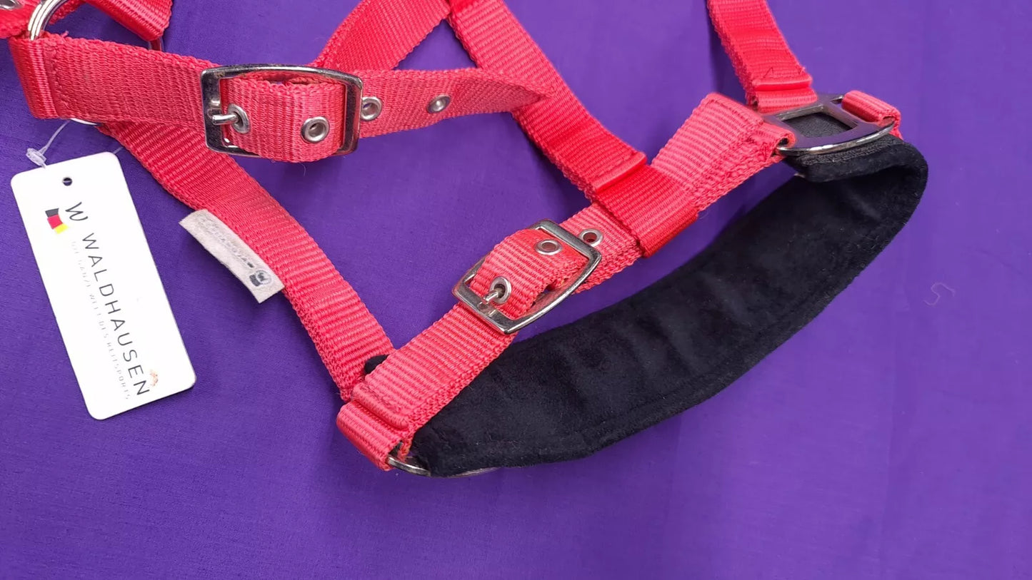 Red Waldhausen Lunging Headcollar Cob