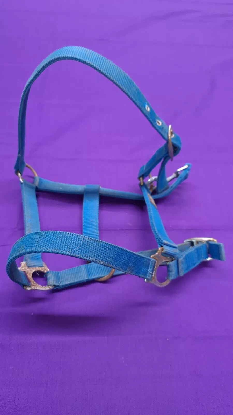 Headcollar HY Turquoise Cob