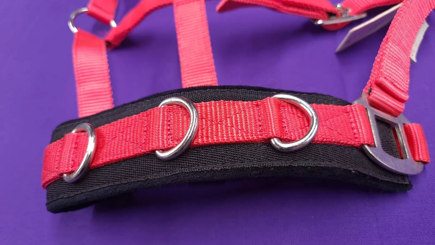 Red Waldhausen Lunging Headcollar Cob