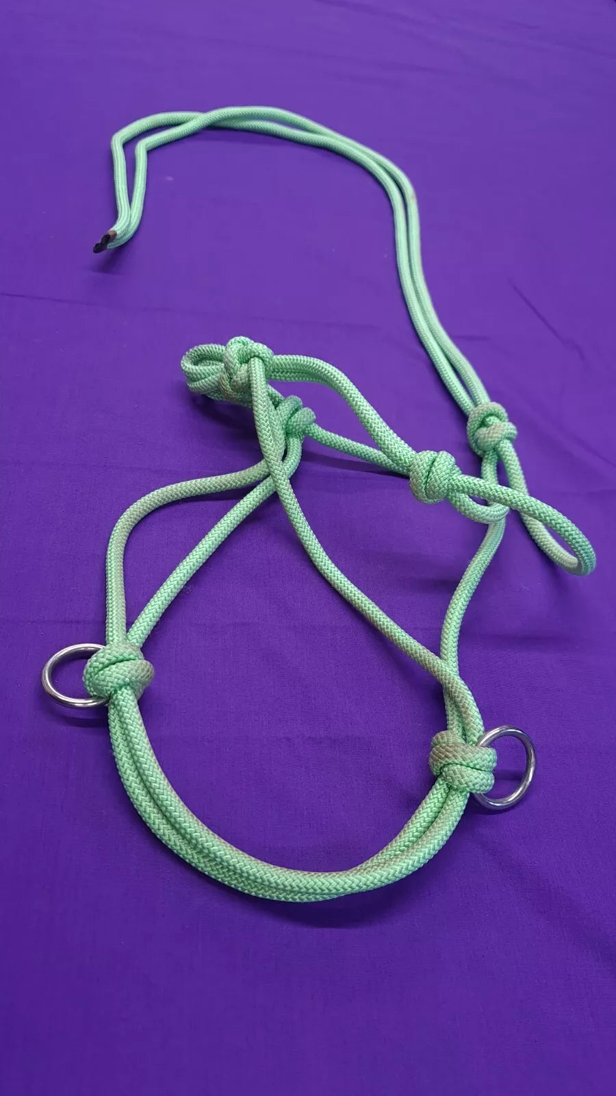 Rope Halter In Light Green Cob Size