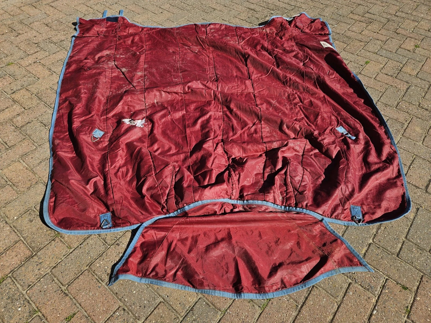 6'3 Weatherbeeta Red & Blue Freestyle Orican High Heavy Horse Turnout Rug RU196