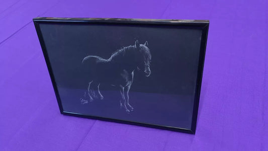 Framed Horse Drawing Black Cob