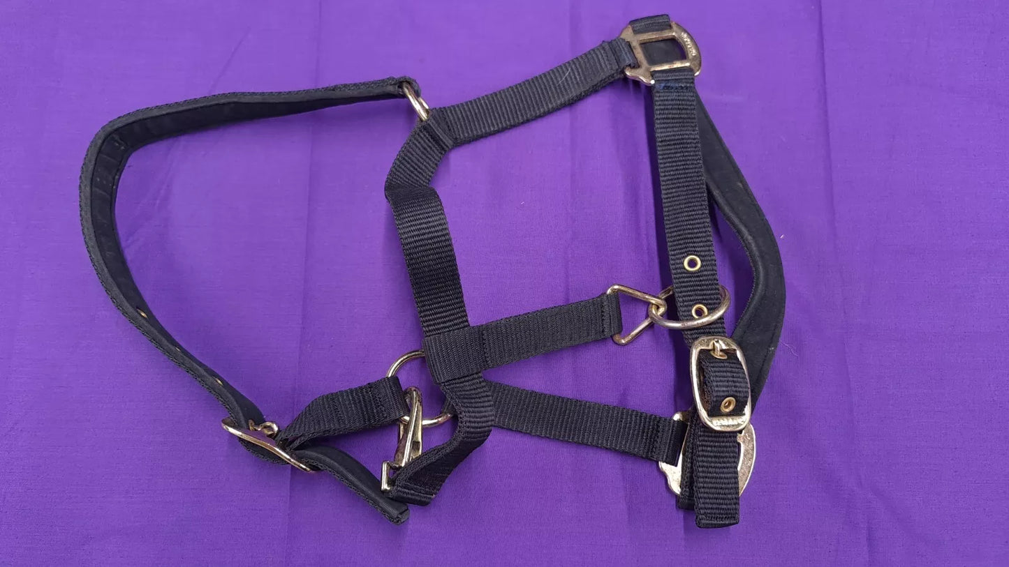 Gallop Black Headcollar Pony