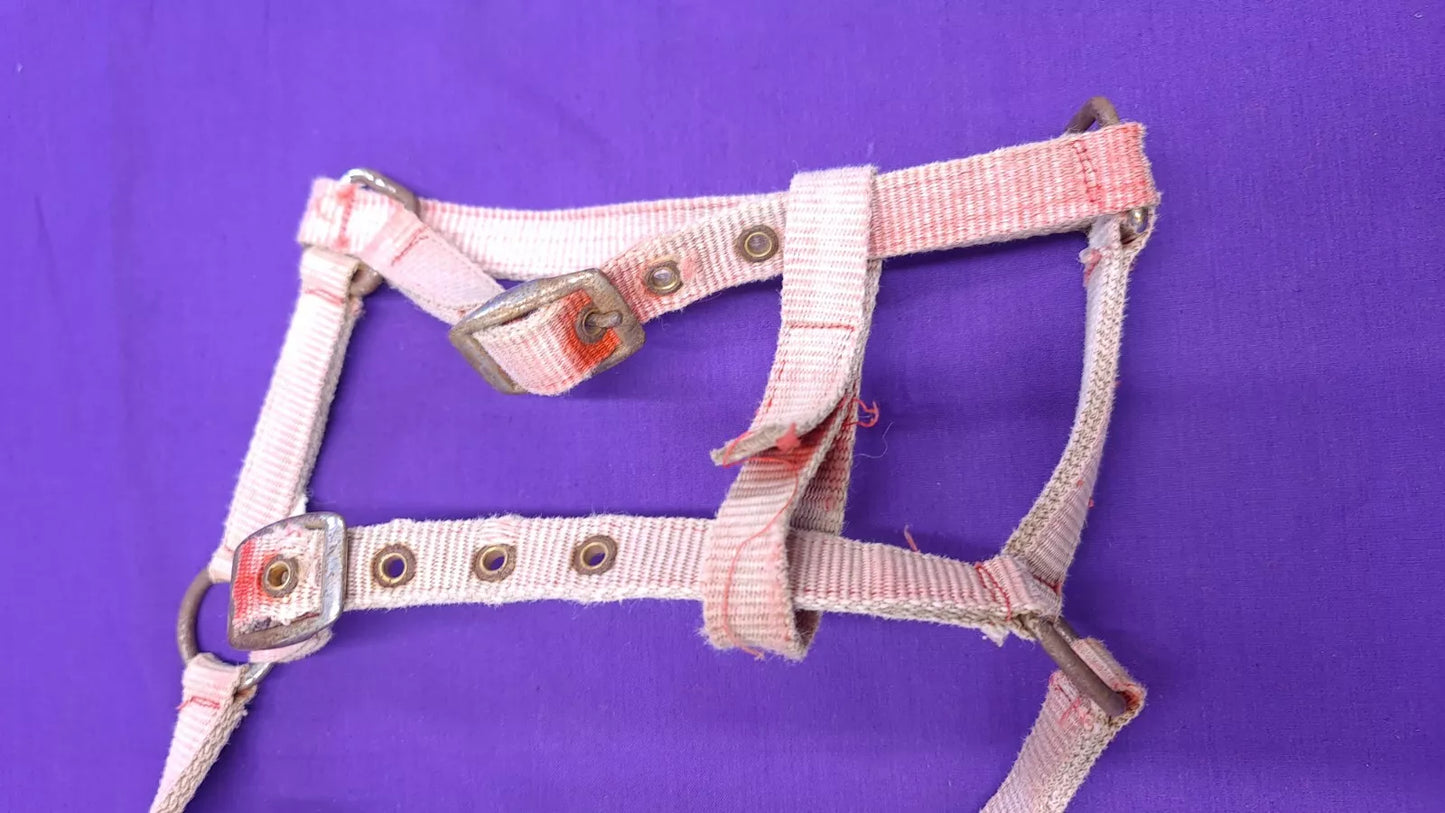 Foal Head Collar Pink