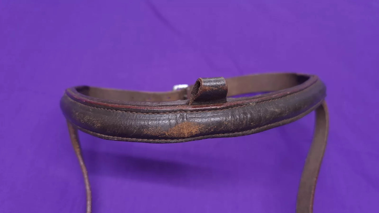 Full Brown Leather Noseband With Flash Attachment