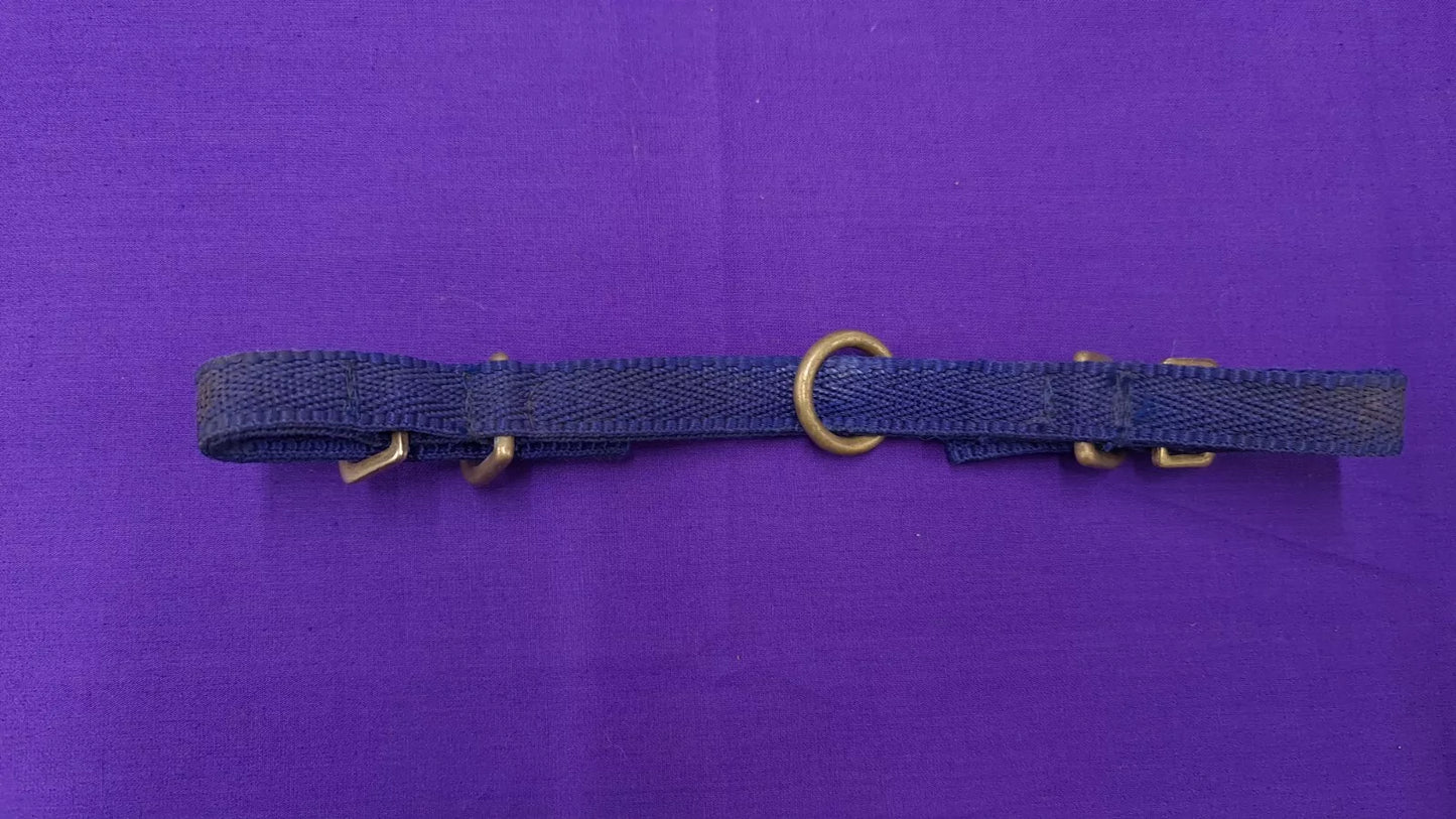 Lunging Attachment Blue