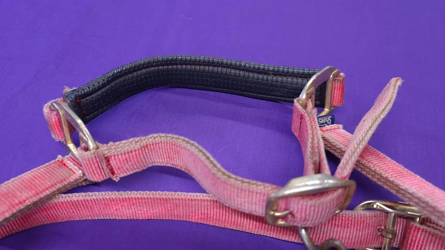 Shires Pink Headcollar Cob