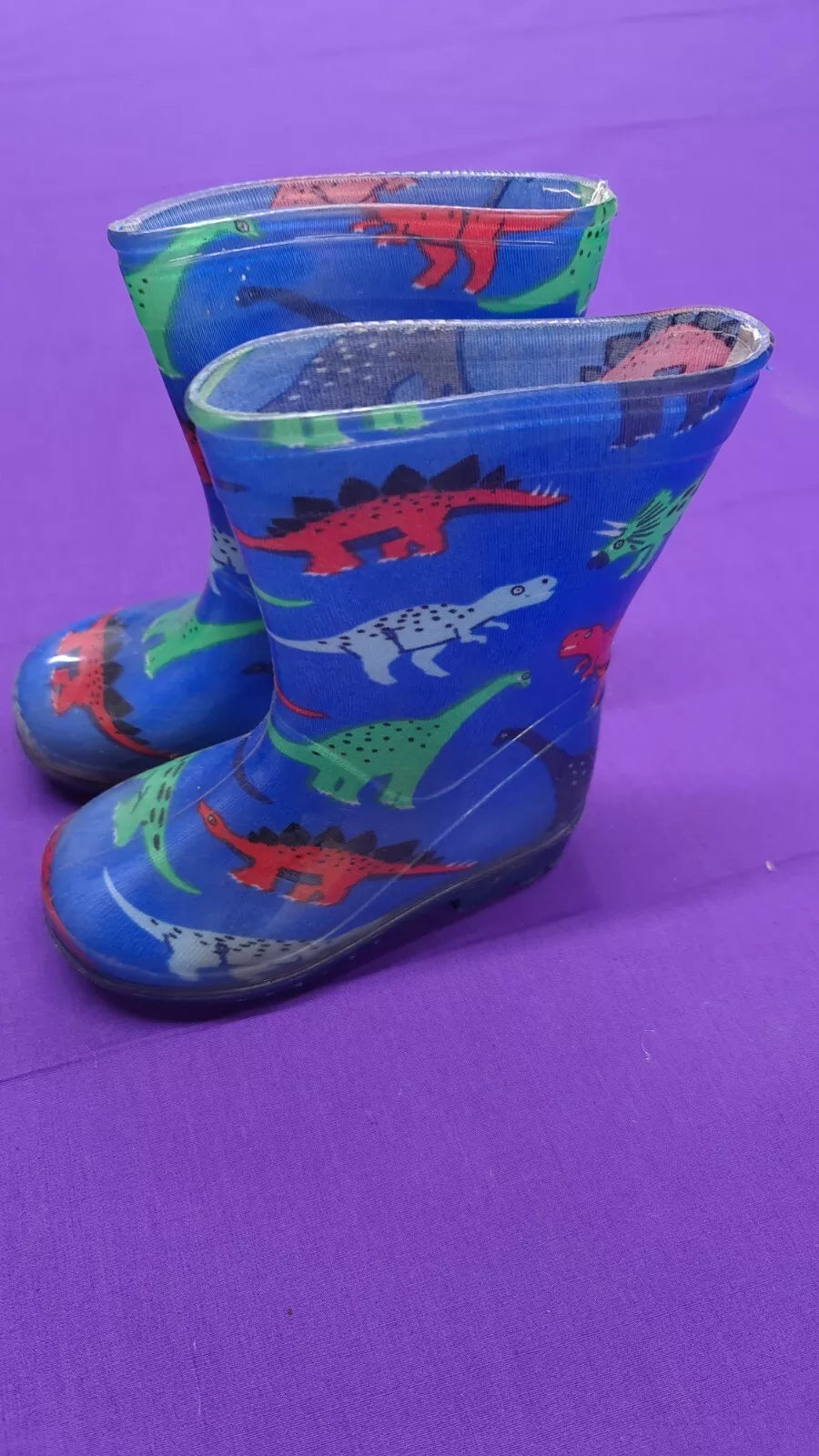 Childrens' Size 6 Wellies Dinosaur