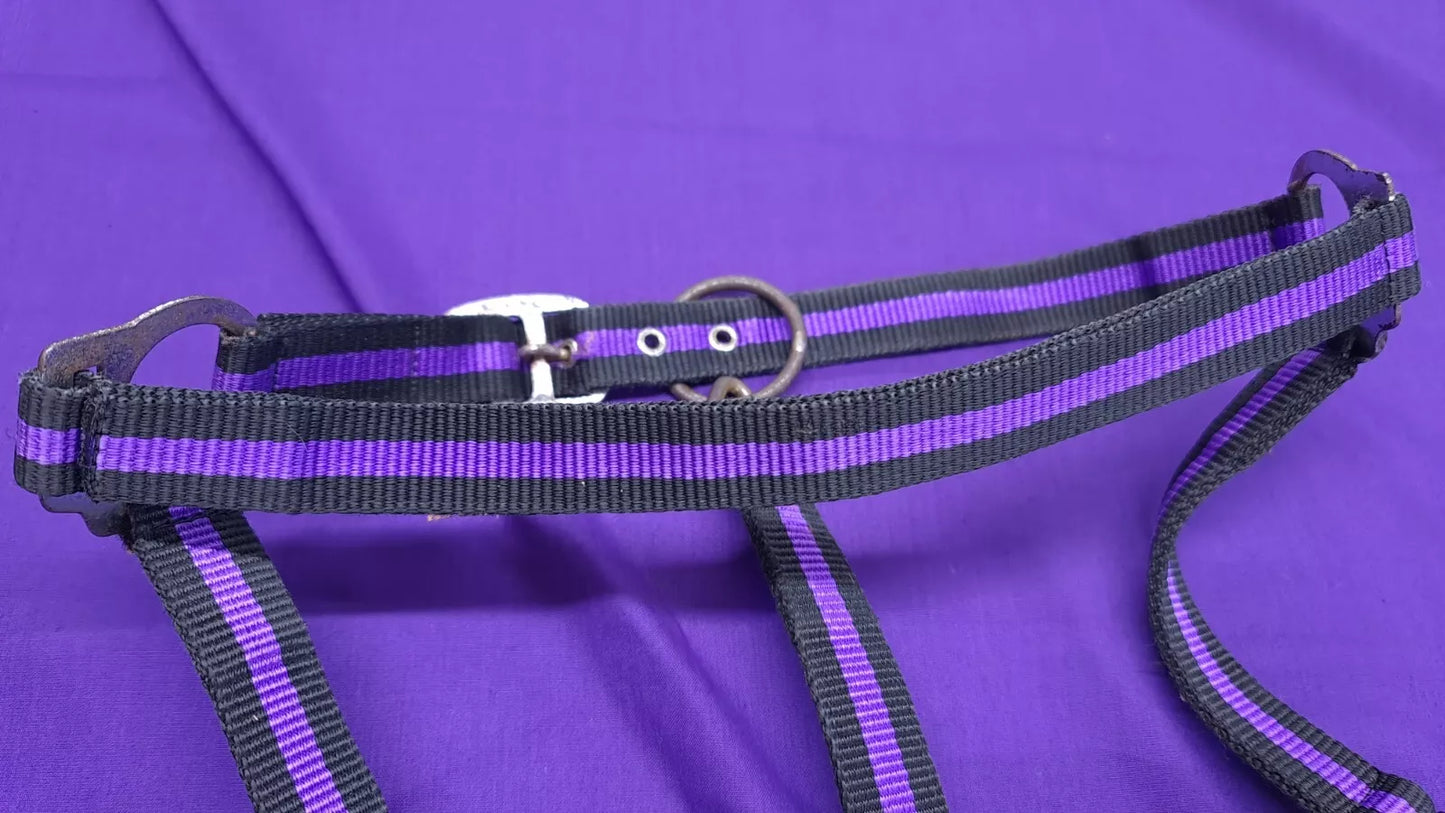 Headcollar Full Purple And Black Horse