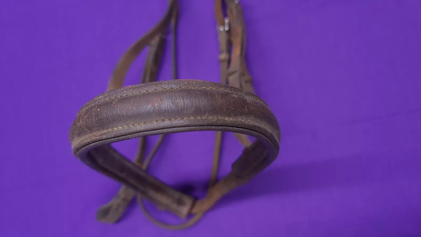 Kincade Brown Full Cavesson Bridle