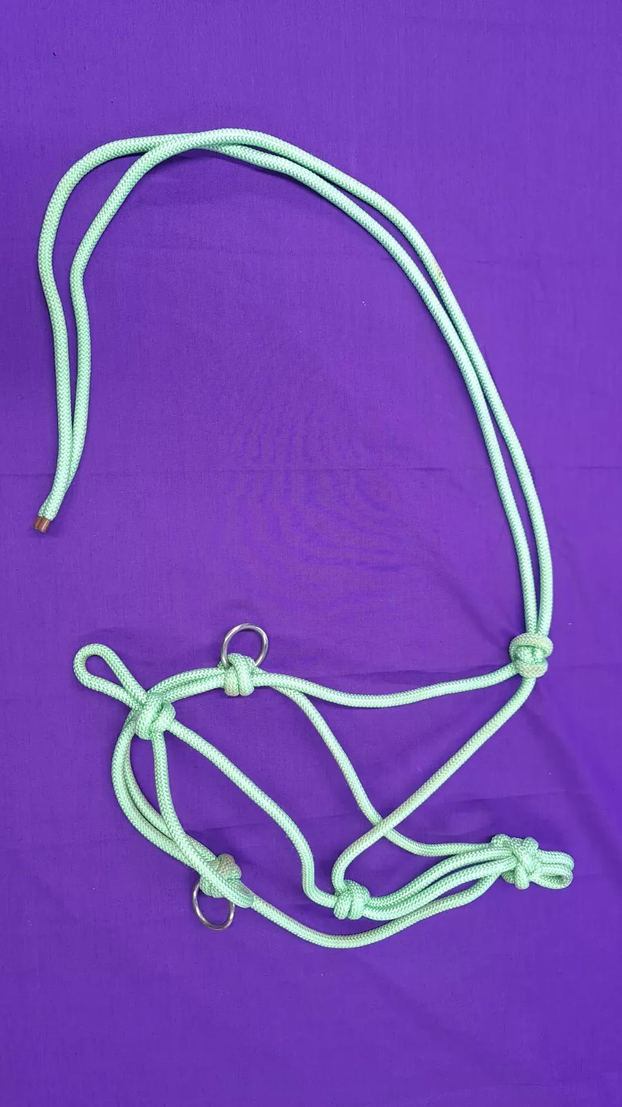 Rope Halter In Light Green Cob Size