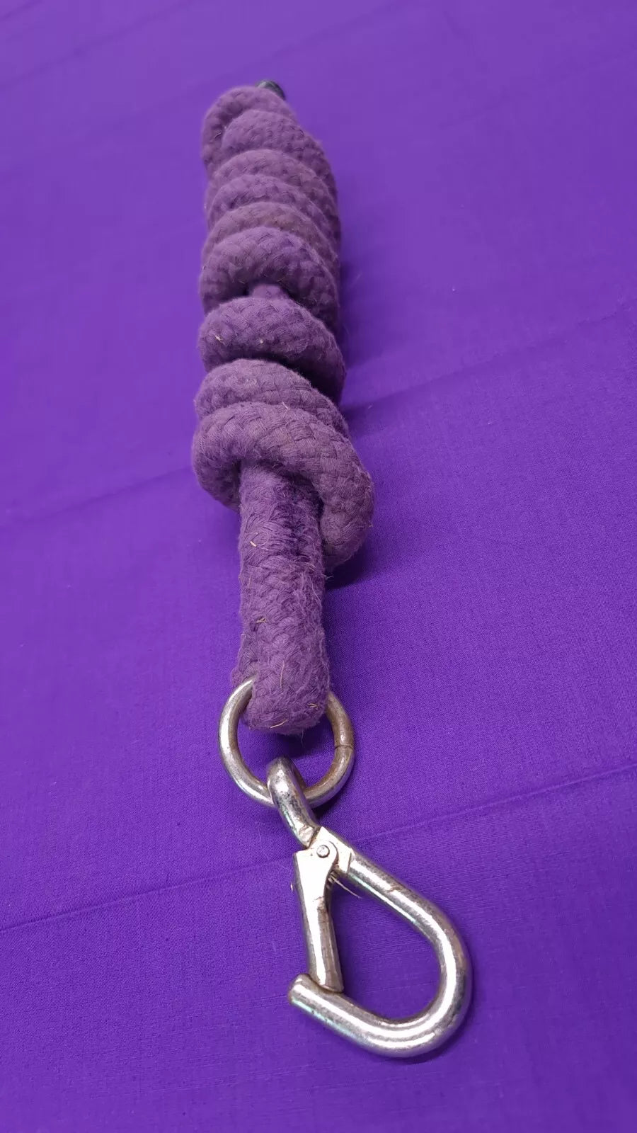 Purple Horse Lead Rope