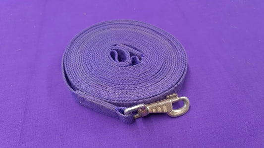 Lunge Line Purple Dog Training Lead