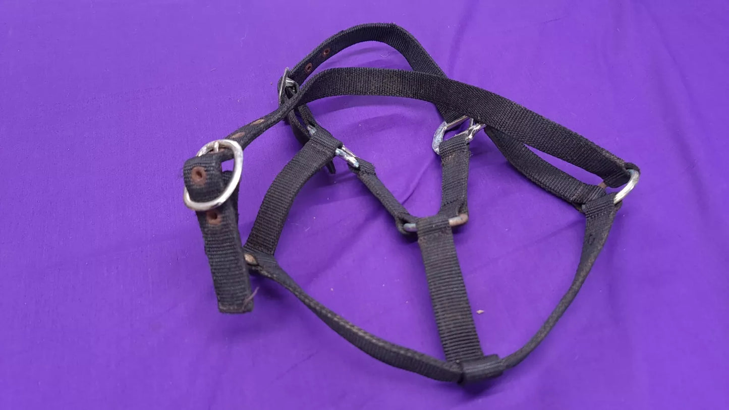 Headcollar Black Shires Cob