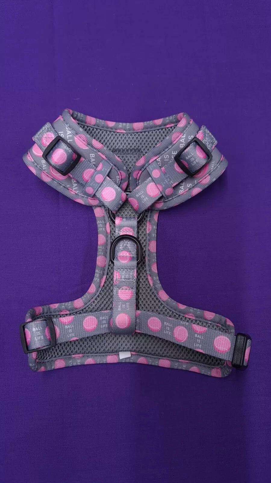 T Bone Collection Tommy Girl Adjustable Harness Small