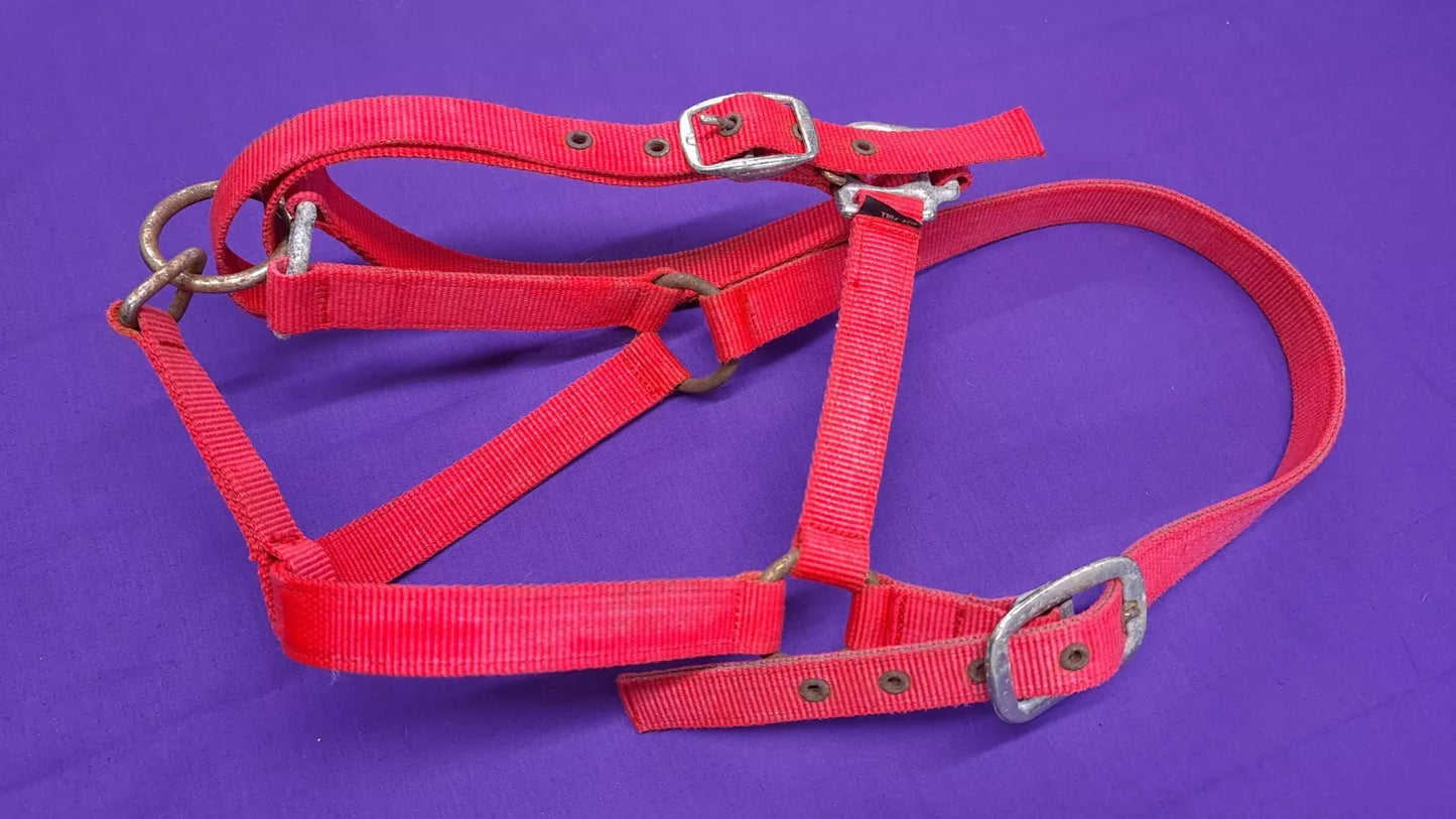 Headcollar Full Red