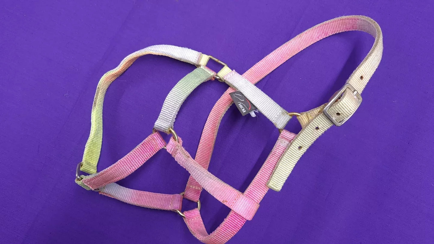 HKM Rainbow Foal Headcollar