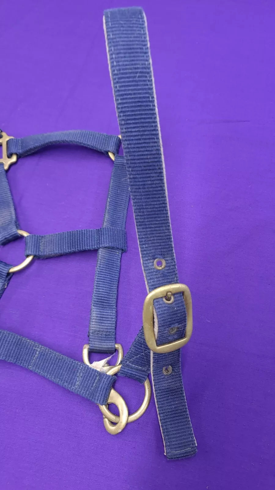 Headcollar Olympian Cob Navy