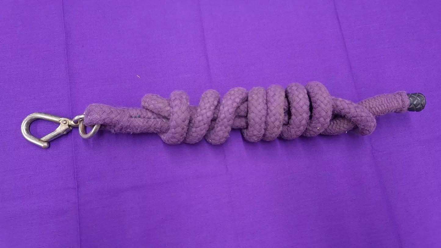 Purple Horse Lead Rope