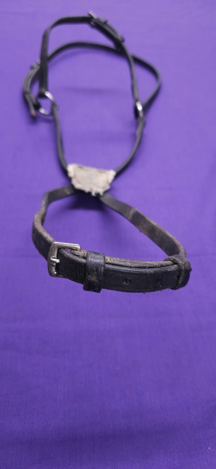 Full Size Black Horse Grackle Noseband BR422