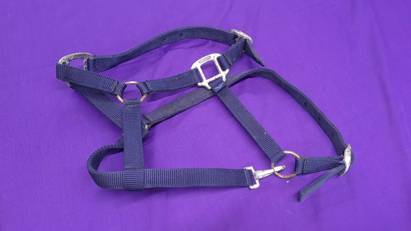 Headcollar Navy Shires Cob