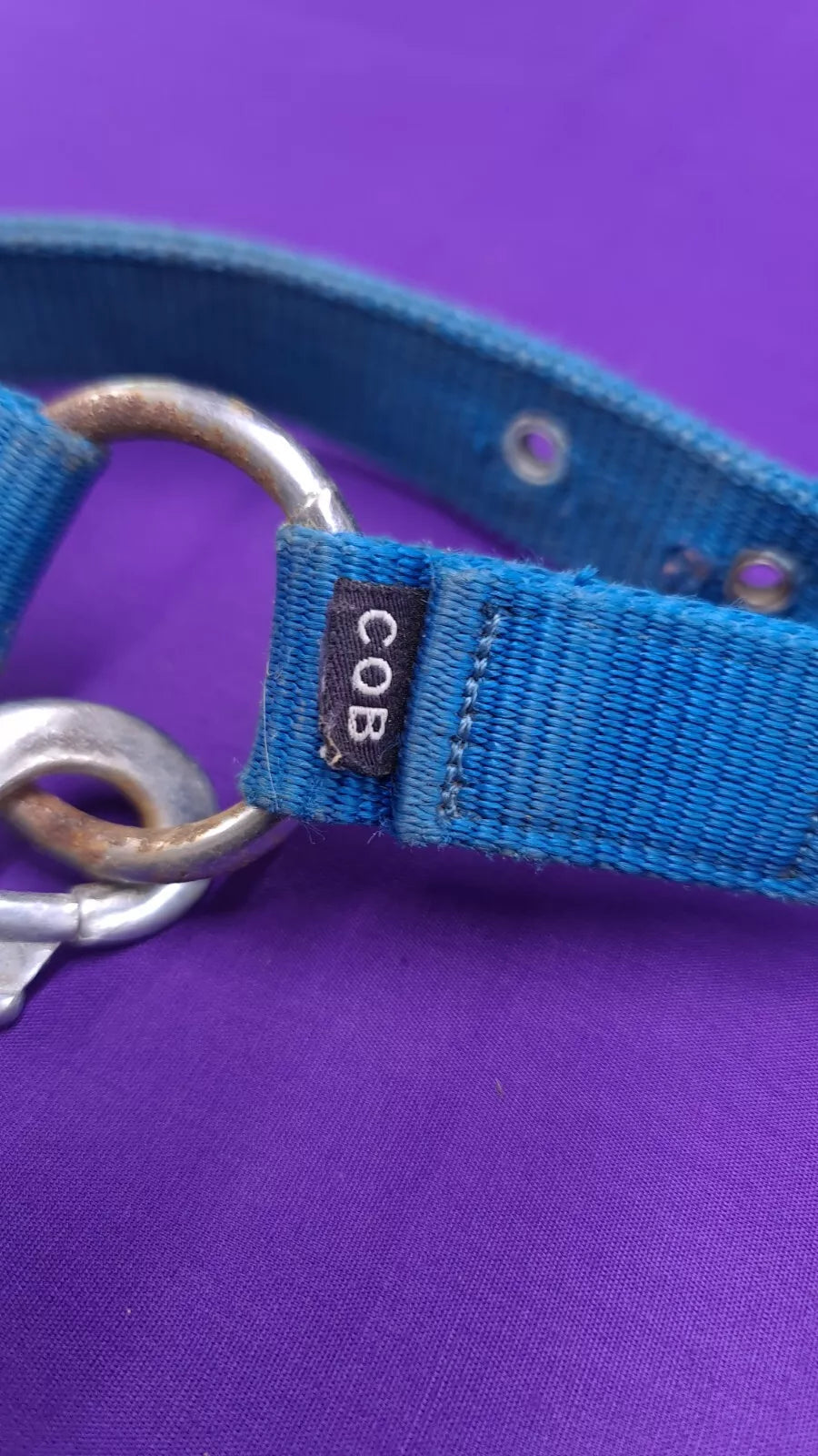 Headcollar HY Turquoise Cob