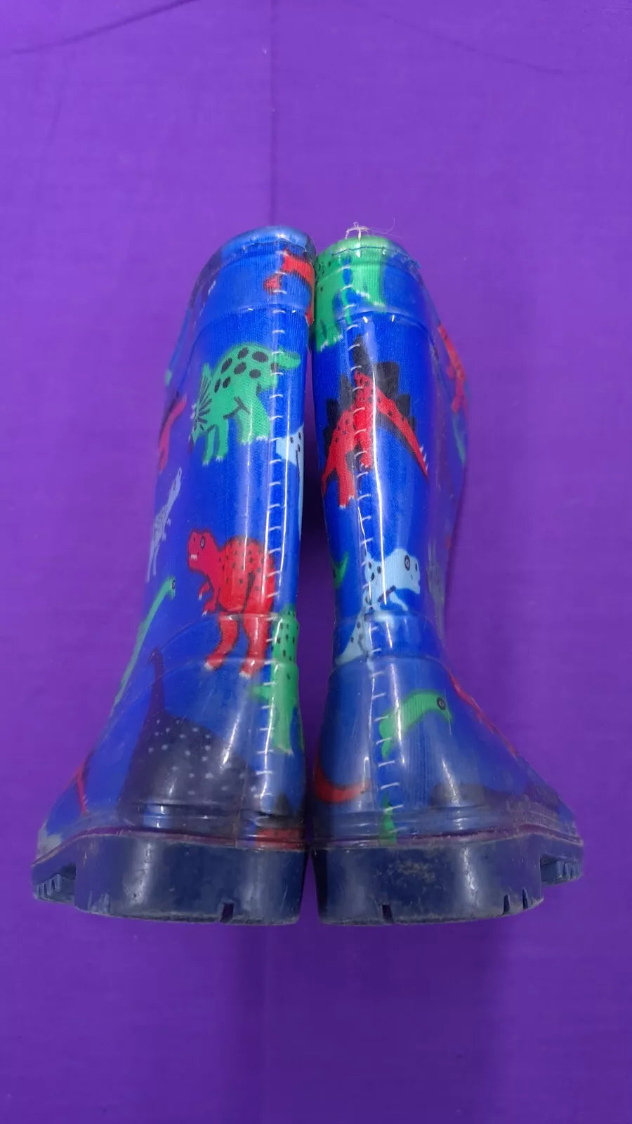 Childrens' Size 6 Wellies Dinosaur