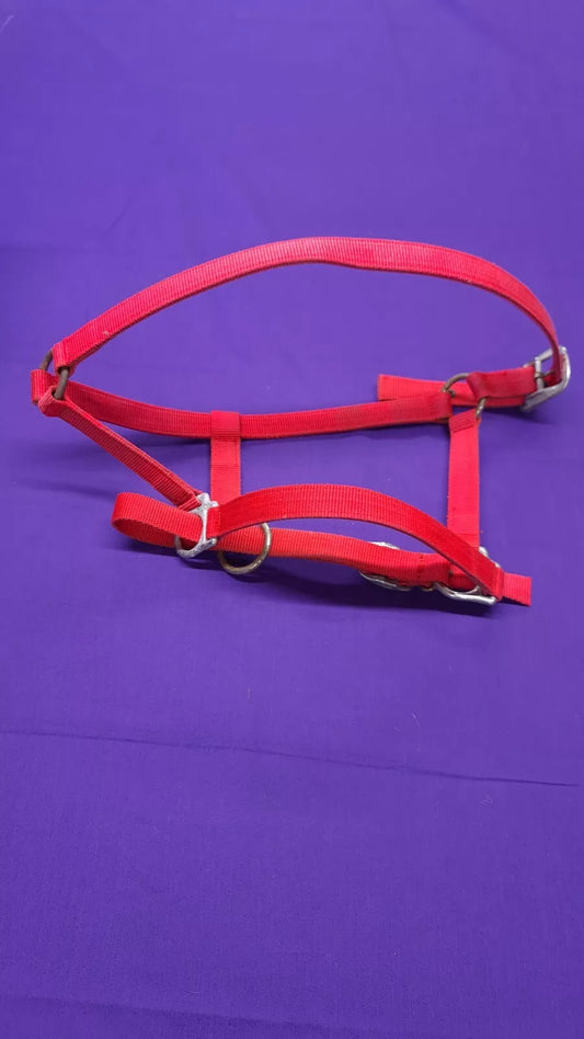 Headcollar Full Red