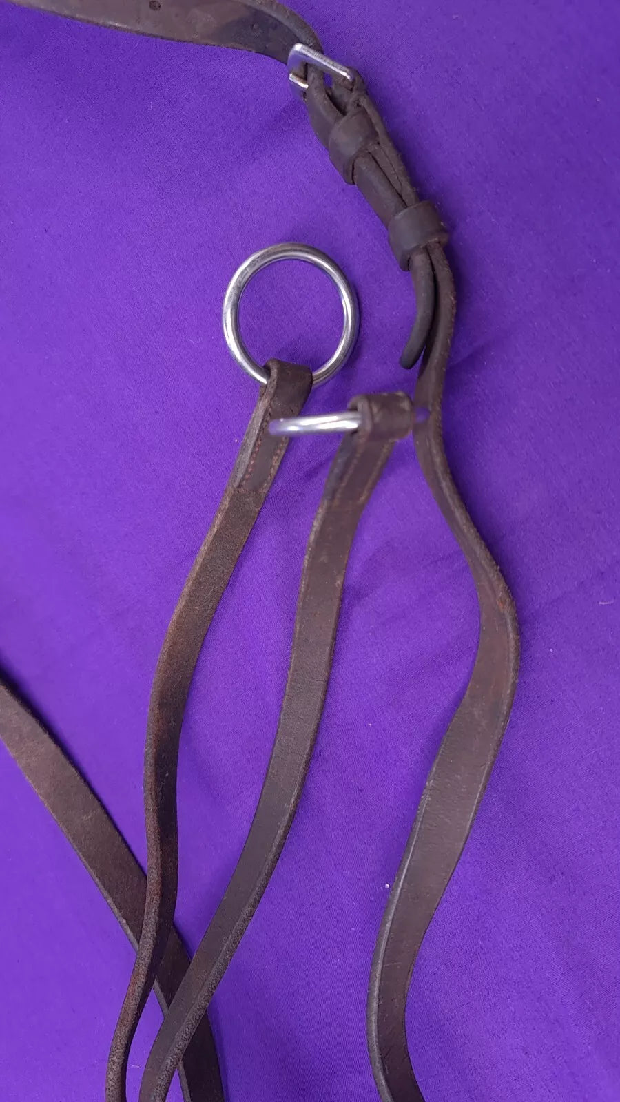 Running Martingale Brown Full Size