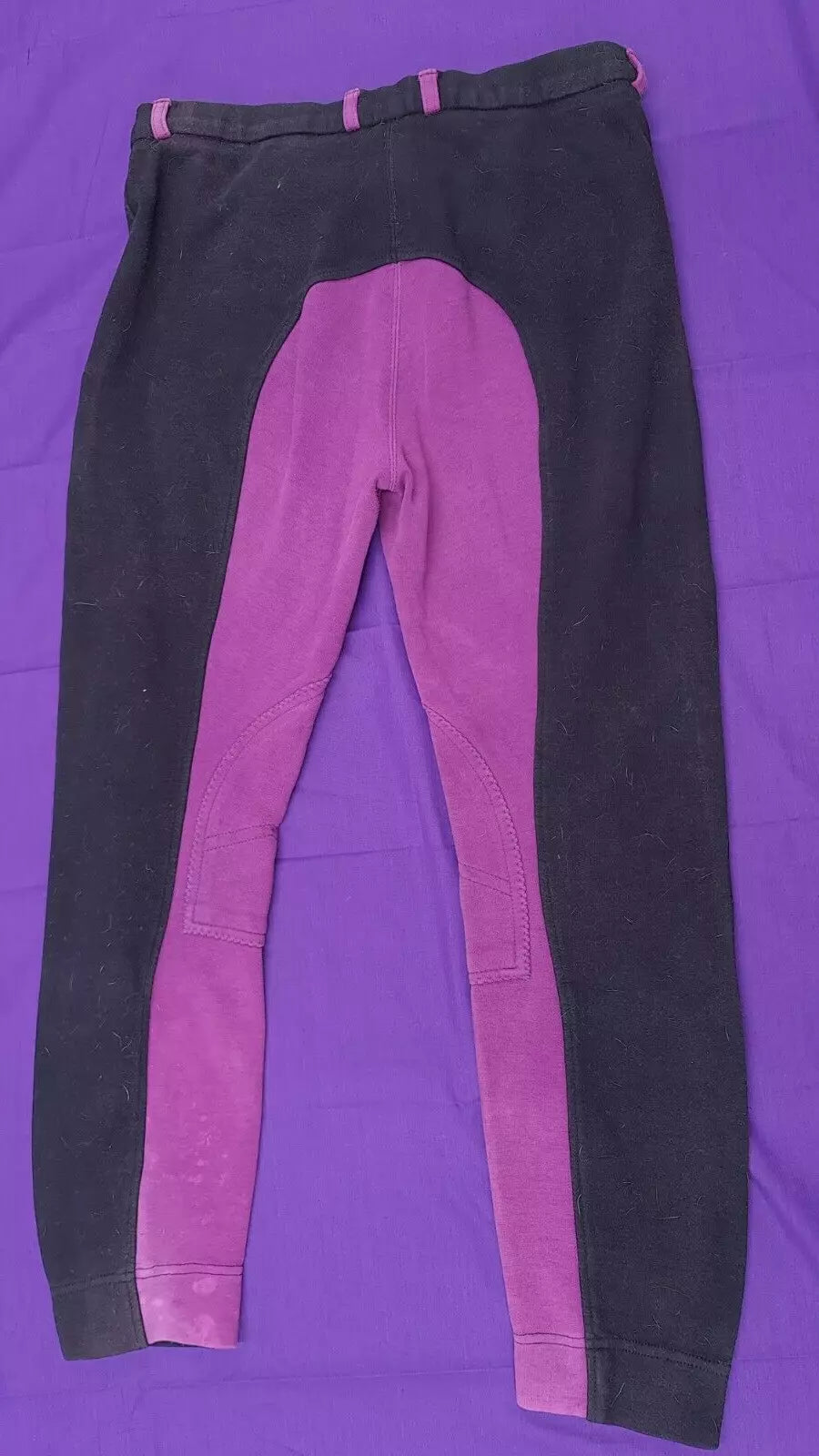 Jodhpurs Black And Purple Size 34