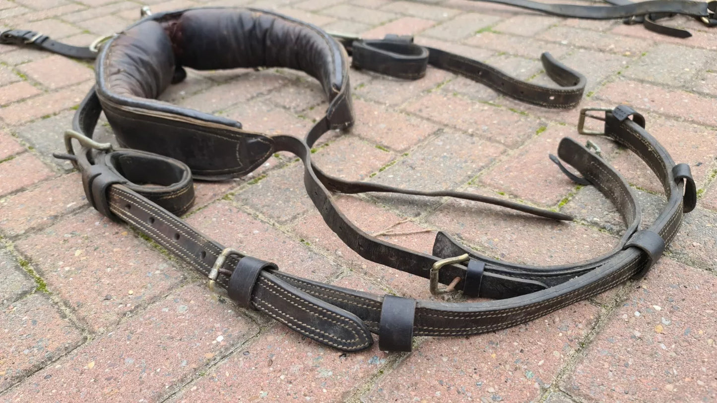 Vintage Driving Harness