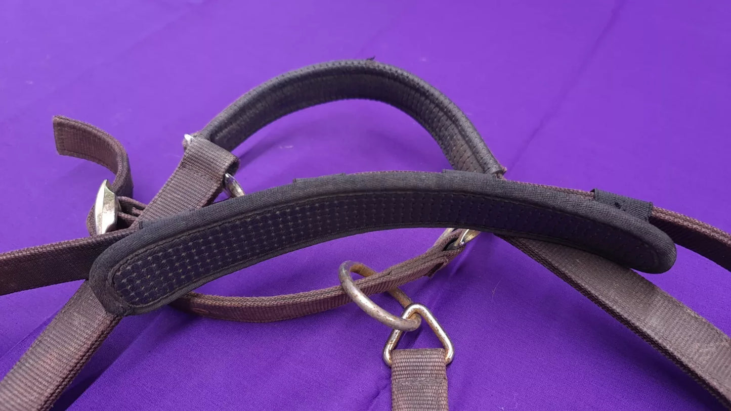 Brown HY Headcollar Brown Full