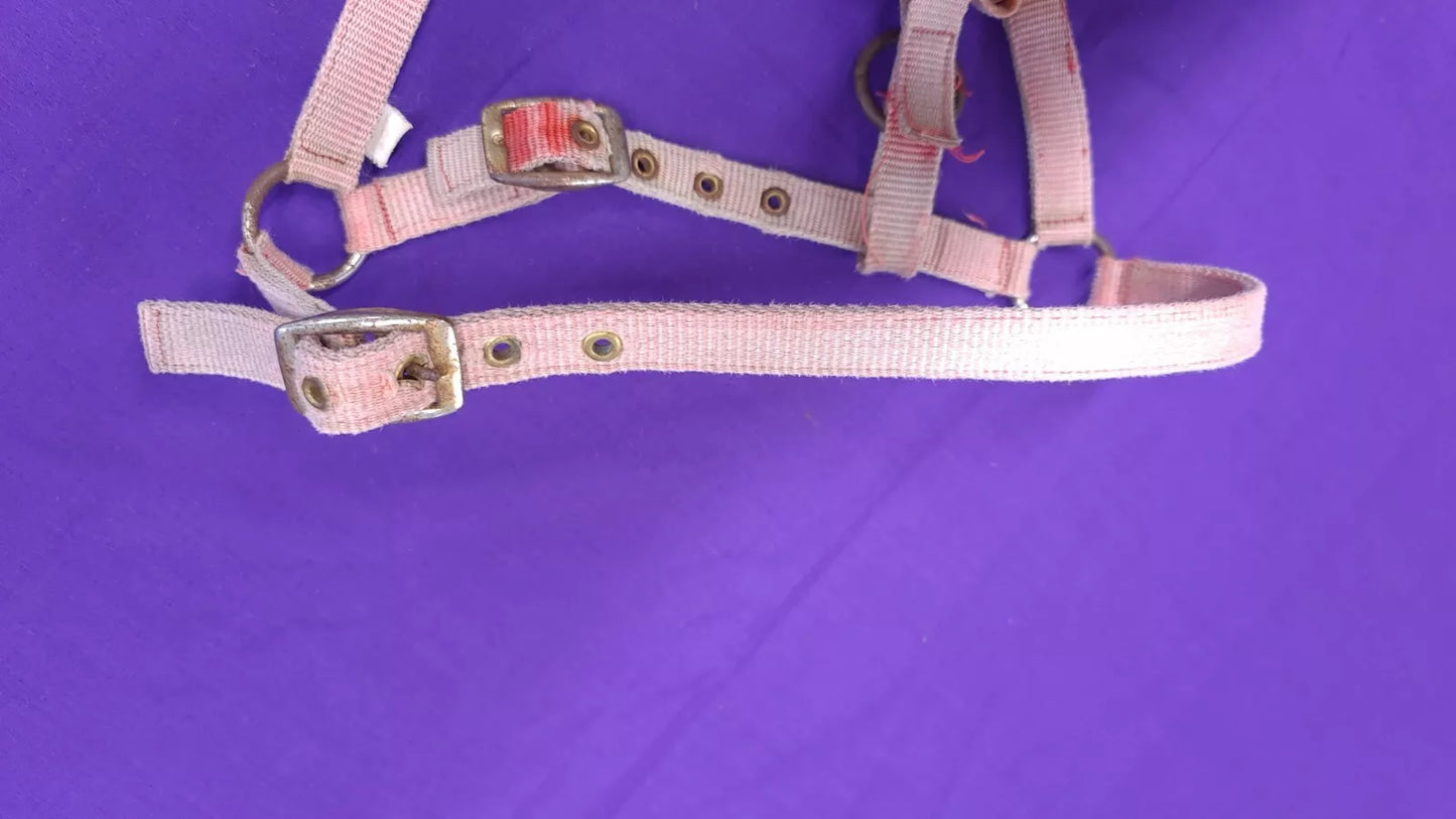 Foal Head Collar Pink