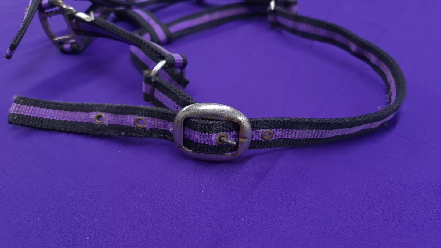 Headcollar Purple And Black Full