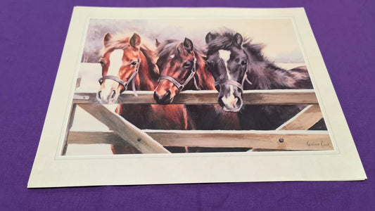 Caroline Cook "Over The Gate" Print Horse Painting