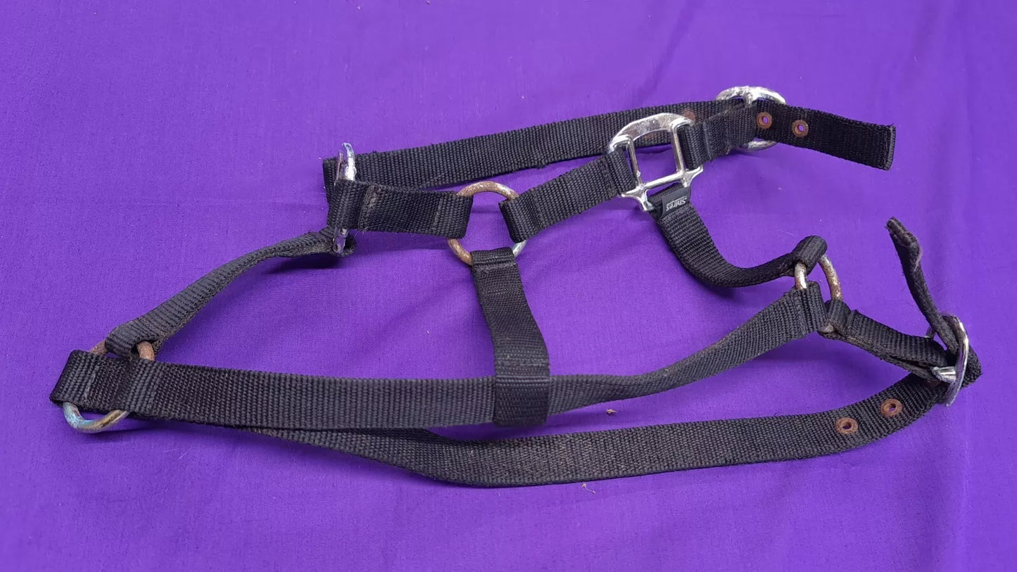 Headcollar Black Shires Cob