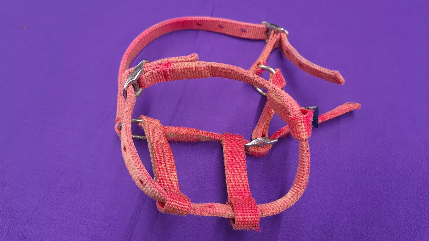 Shires Foal Headcollar In Red