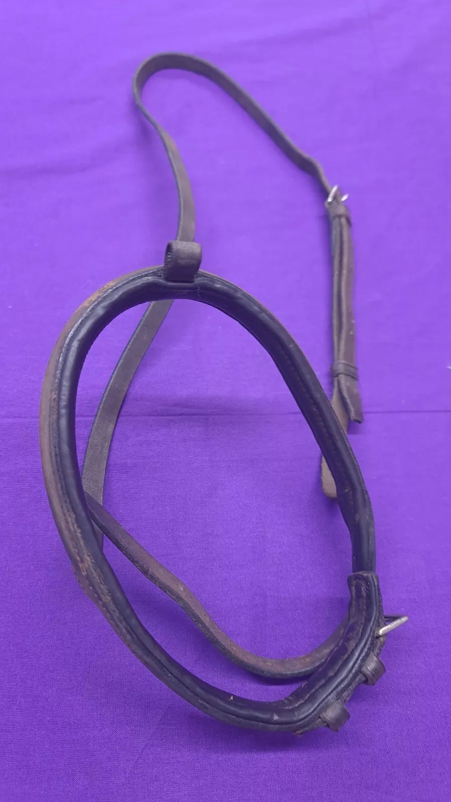 Full Size Brown Padded Noseband With Flash Attachment Horse Bridle Part