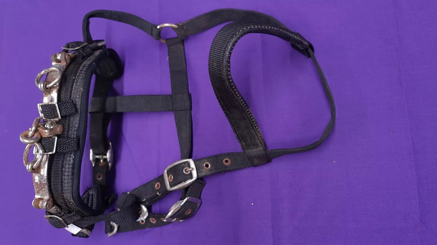 Lunging Headcollar Cavesson Black Full